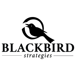 Blackbird Strategies